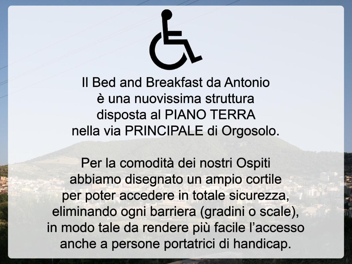 Bed And Breakfast Da Antonio - Orgosolo Eksteriør billede